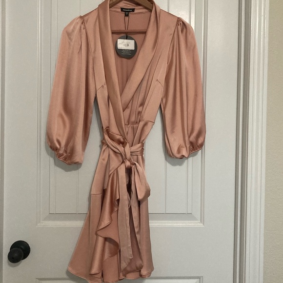 NWT pink satin dress - Picture 3 of 4
